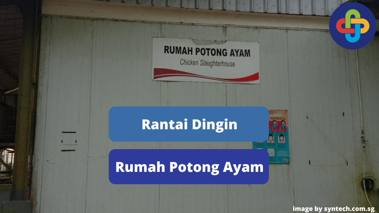 Berikut Ini Rantai Dingin di Rumah Potong Ayam (RPA)